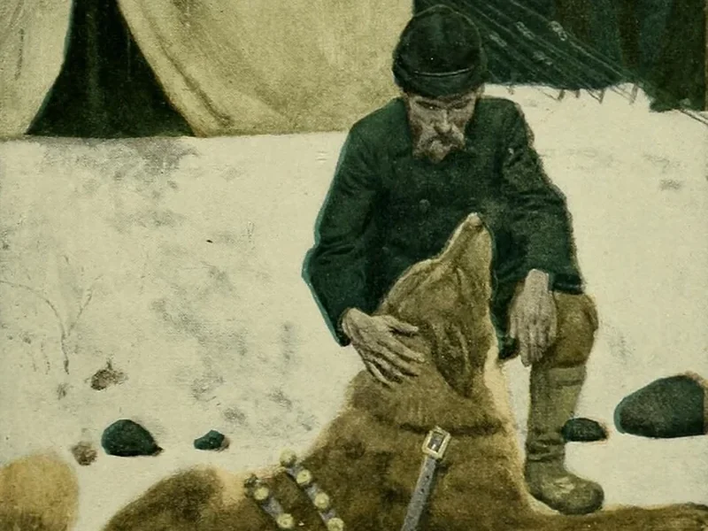 1881-Philip R. Goodwin - Il richiamo della foresta